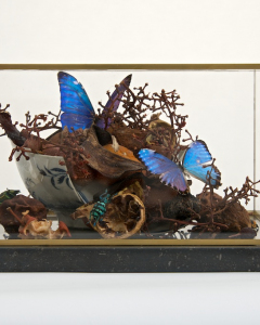 2_2014_dead-nature-21-