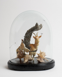 5_2011_Capricorn-copy